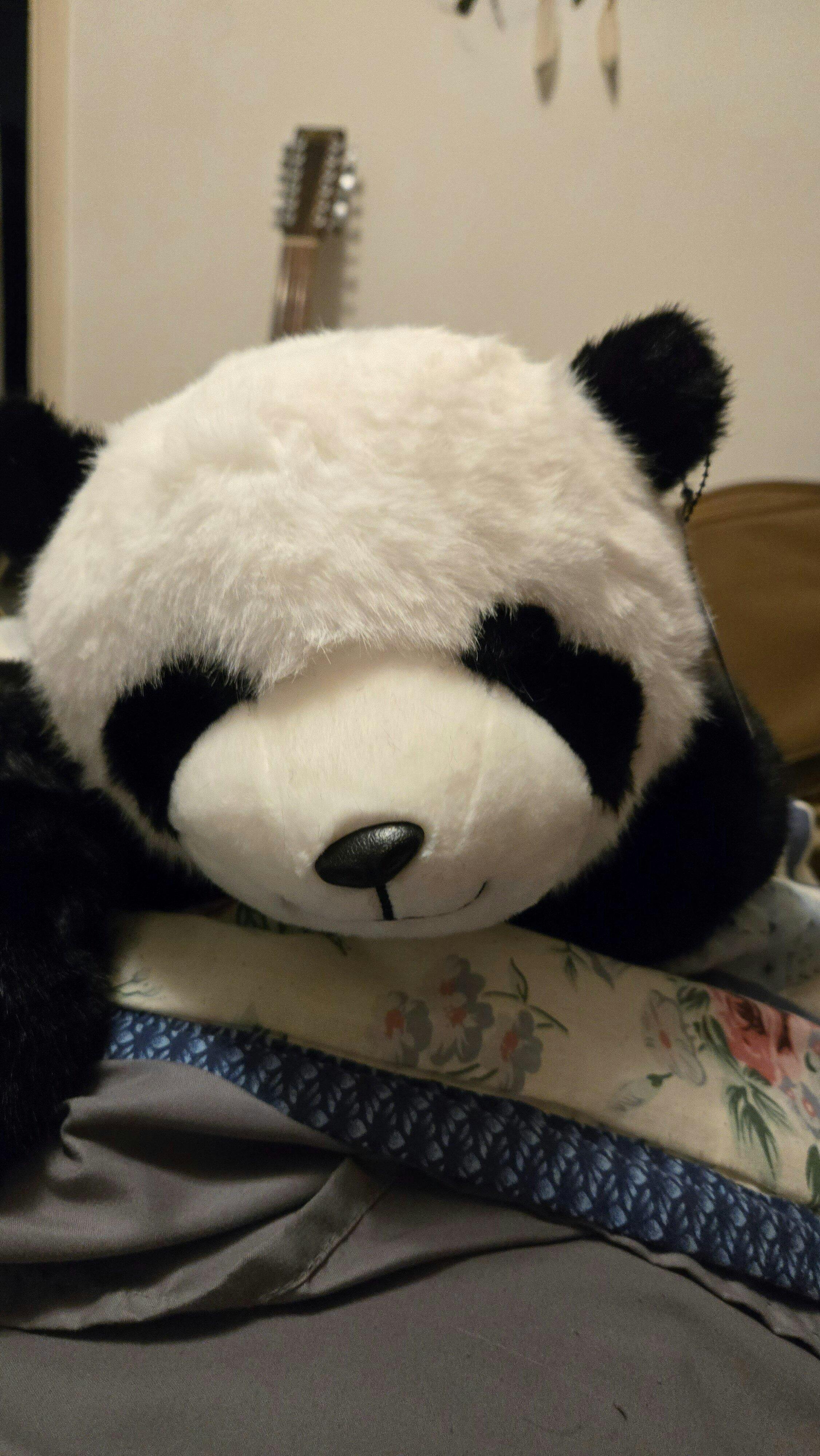 <em><strong>Elenna</strong></em>